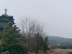 -金乌温泉公园