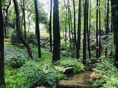 -中国茶叶博物馆(双峰馆区)