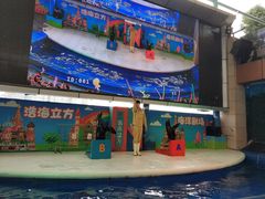 -成都浩海立方海洋公园