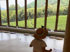 -白茶原·一片叶子