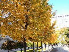 -东北大学(南湖校区)