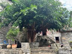 -高荡千年布依古寨旅游景区