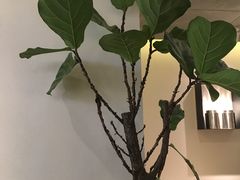 -喜茶(深圳东门1234店)