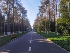 -黑龙江省森林植物园