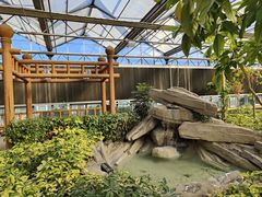 -南宫五洲植物乐园