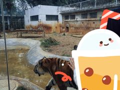 -昆明动物园