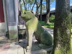 -天一阁博物院