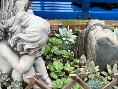 -杨厝六十六农庄农舍(杨厝路店)