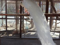 景点-南宫五洲植物乐园