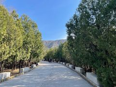 -北京十三陵国家森林公园蟒山景区