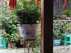 -王万妈卤猪脚(青岩交通路)