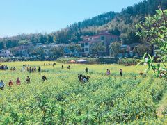 -红山村
