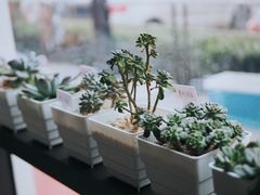 -Africafe(非洲咖啡)