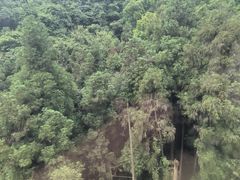 -青城山