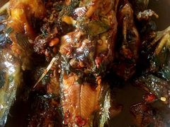 红烧昻子鱼-乡乐园蟹庄·阳澄湖农家乐