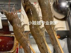 活虾-海底捞火锅(珠影星光城夜宵主题店)