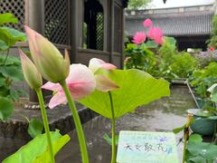 -钱王祠