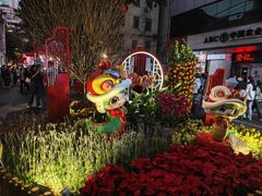 -越秀西湖花市(广州城市广场花卉店)