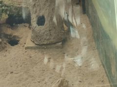 -昆明动物园