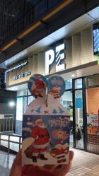 -PE SALON 
