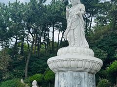 -海东龙宫寺