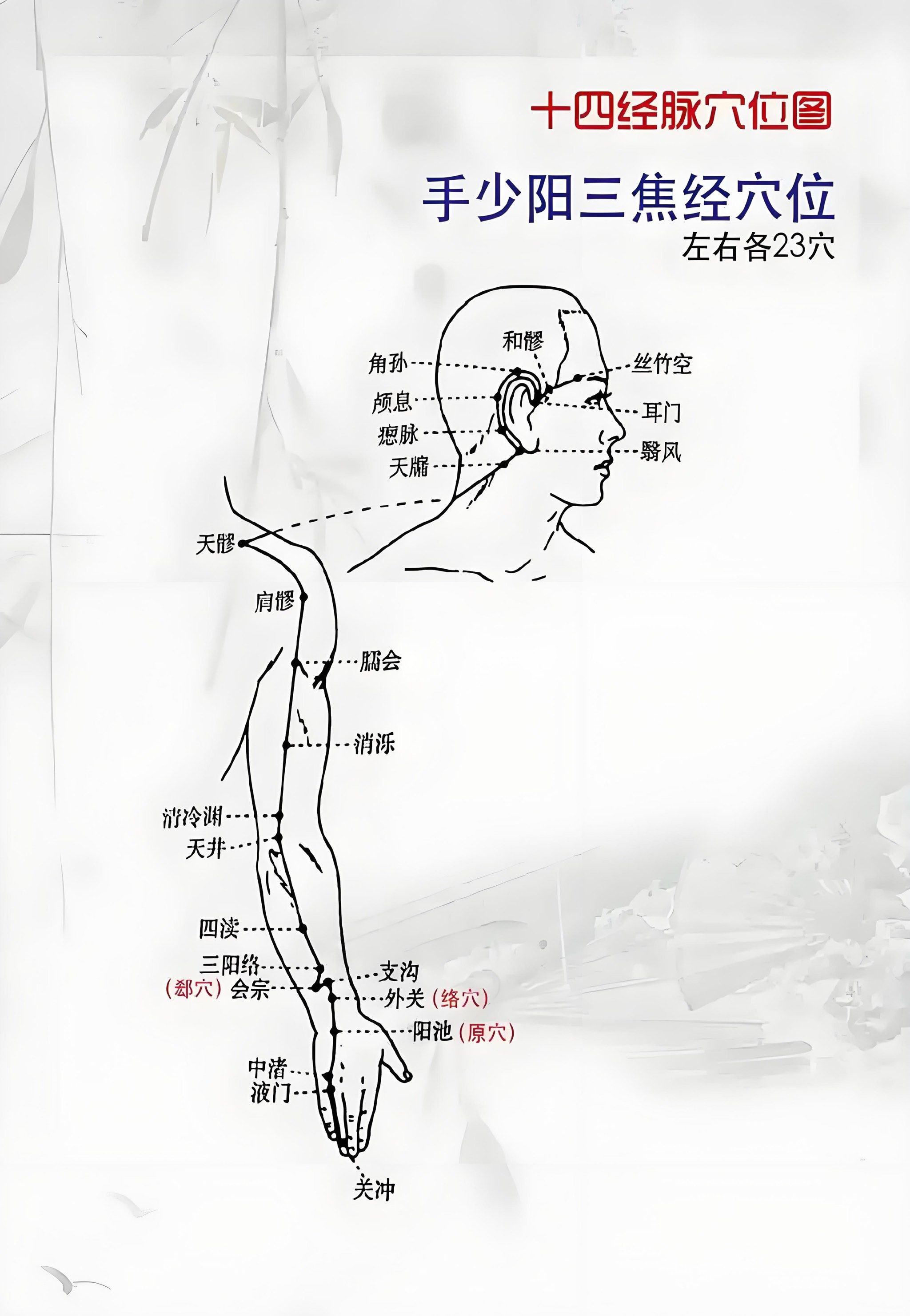 臂外侧痛,两肋痛,早晨起床头昏脑胀,建议疏通足少阳胆经,手少阳三焦经