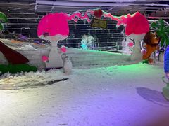 -宁波冰雪大世界(北仑区)