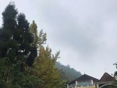 -花水湾第一村温泉大酒店