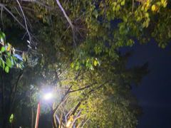 -眉山湿地公园(东坡区)