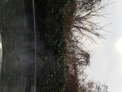 android_upload_pic-南京汤山紫清湖生态旅游温泉度假区