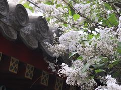 -广济寺