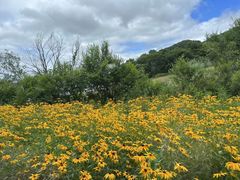 -香炉山国家森林公园
