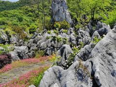 -千岛湖石林
