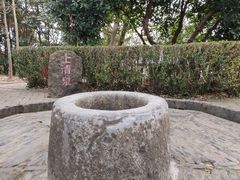 -上海佘山国家森林公园天马山园