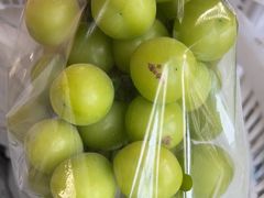 -马陆小张葡萄园农家乐