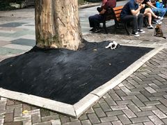 -静安公园(静安寺街道)