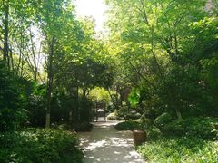 -重庆彩云湖湿地公园