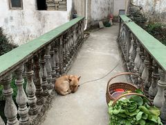 -上坦村