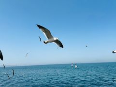 -大连海昌东方水城