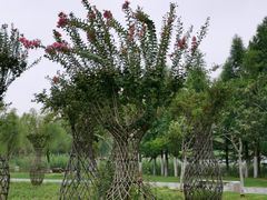-汉梁文化公园