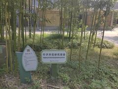 -安吉竹博园