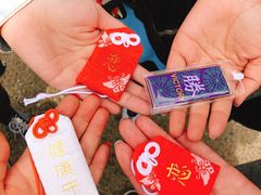 -有栖山 清光院 清水寺