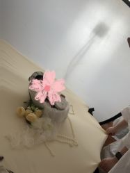 点击看大图 -玛瑞莎孕婴童摄影到家拍
