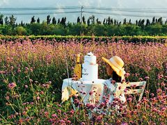 -君乐宝优致牧场