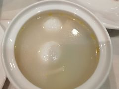 -丁老爷子苏香圆