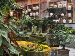 -青城甲(青城山店)