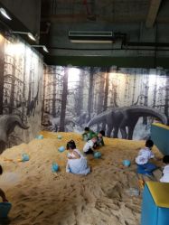 -恐龙探索乐园(磁器口店)