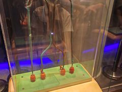 -香港科学馆