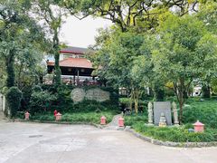 -普陀山雷迪森庄园