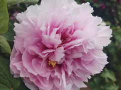 -玄武湖景区-情侣园游乐场